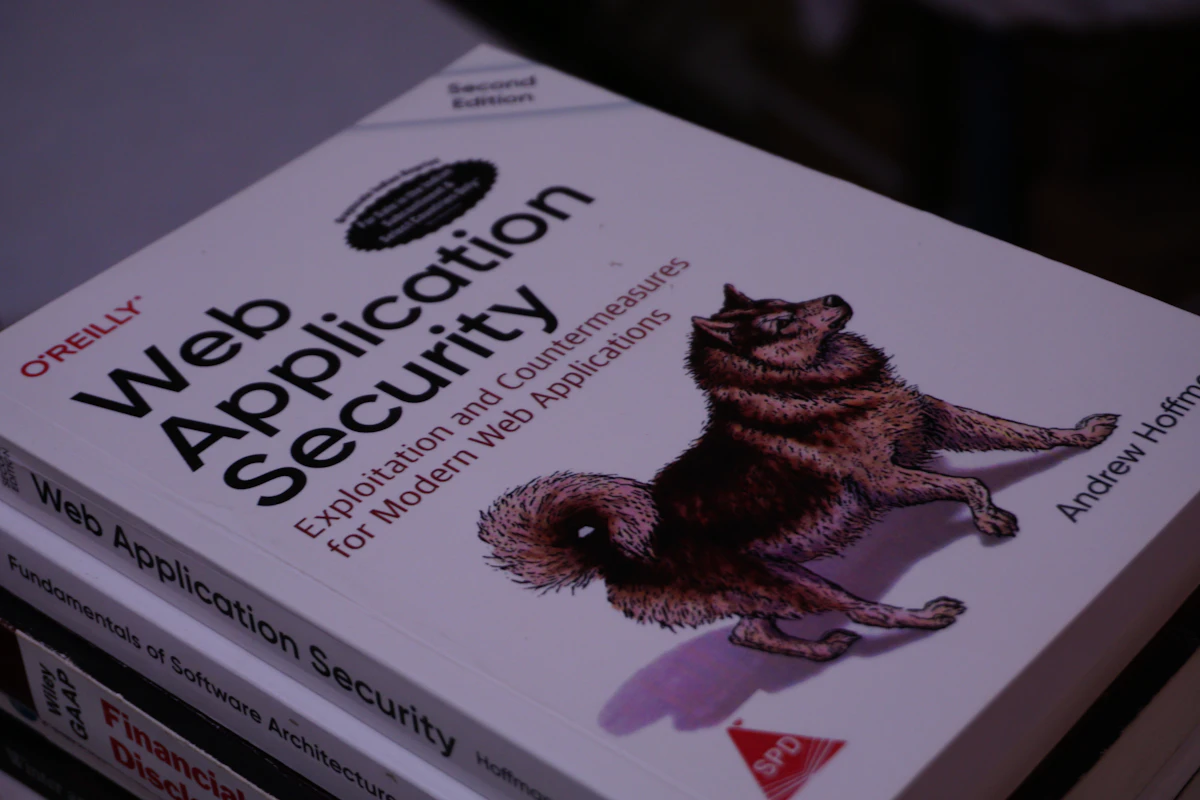 Ilustración conceptual de una vulnerabilidad de código en una aplicación web, similar al fallo XSS encontrado.